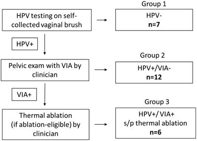 Experiences of women participating in a human papillomavirus-based screen-triage-and treat strategy for cervical cancer prevention in Malawi